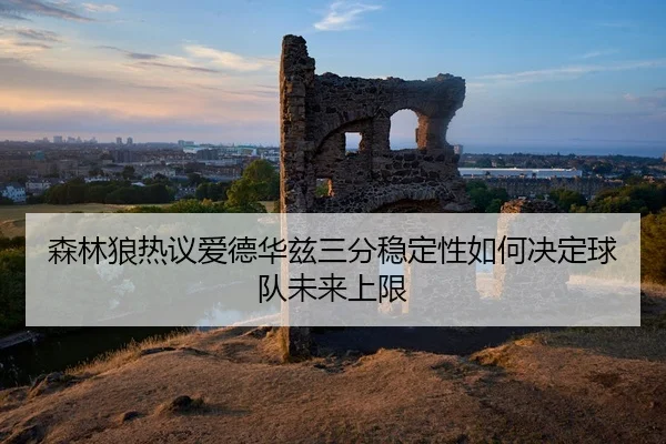 sen-lin-lang-re-yi-ai-de-hua-zi-san-fen-wen-ding-xing-ru-he-jue-ding-qiu-dui-wei-lai-shang-xian-2-920.jpg